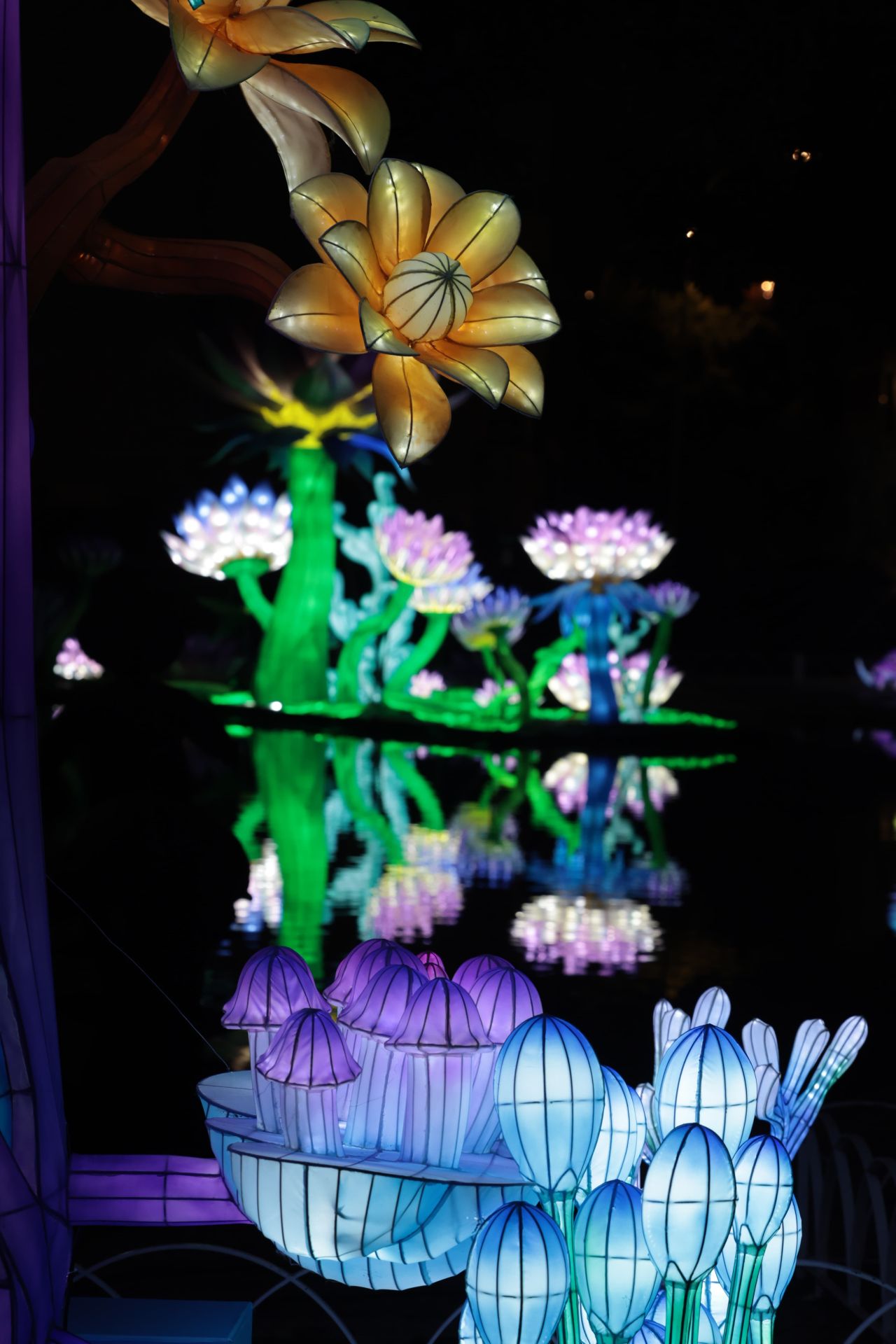 Chinese lantern festival in pictures